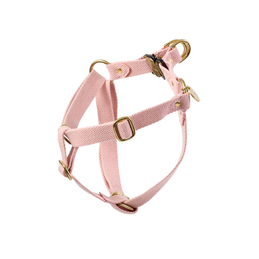 Webbing Set - Soft Pink